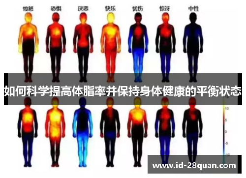 如何科学提高体脂率并保持身体健康的平衡状态