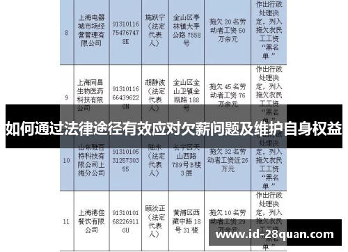如何通过法律途径有效应对欠薪问题及维护自身权益