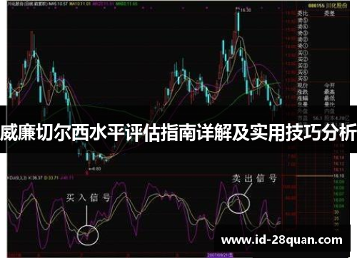 威廉切尔西水平评估指南详解及实用技巧分析
